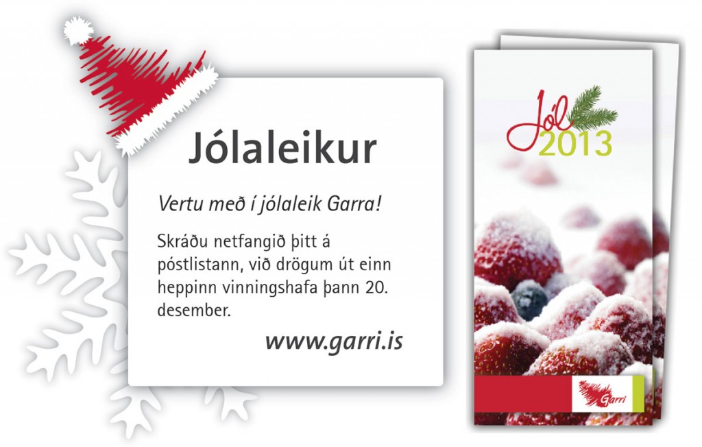 Garri - Jólaleikur 2013