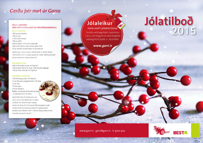 Garri - Jólatilboð 2015