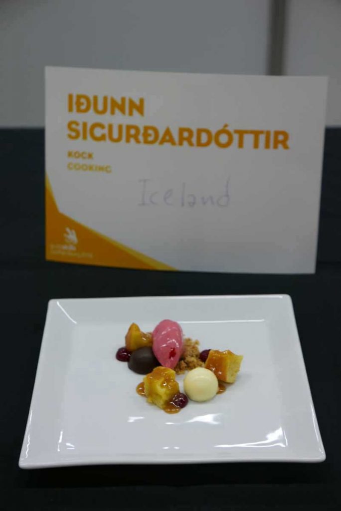 Iðunn Sigurðardóttir - Euro Skills 2016