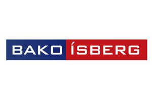 Logo - Bakó Ísberg