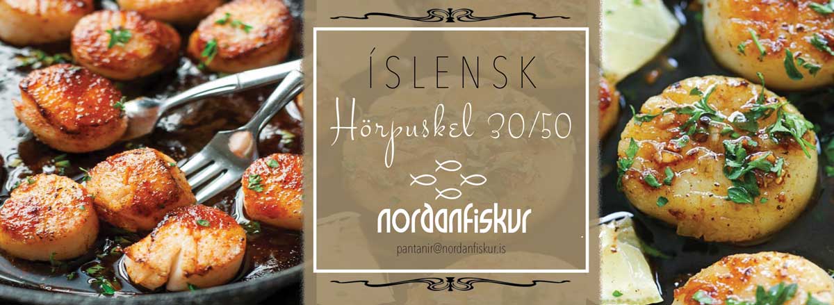 Norðanfiskur - Íslensk Hörpuskel