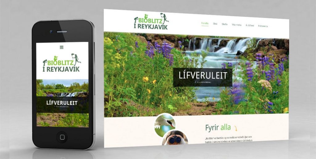 Lífveruleit í Elliðaárdal – Bioblitz í Reykjavík