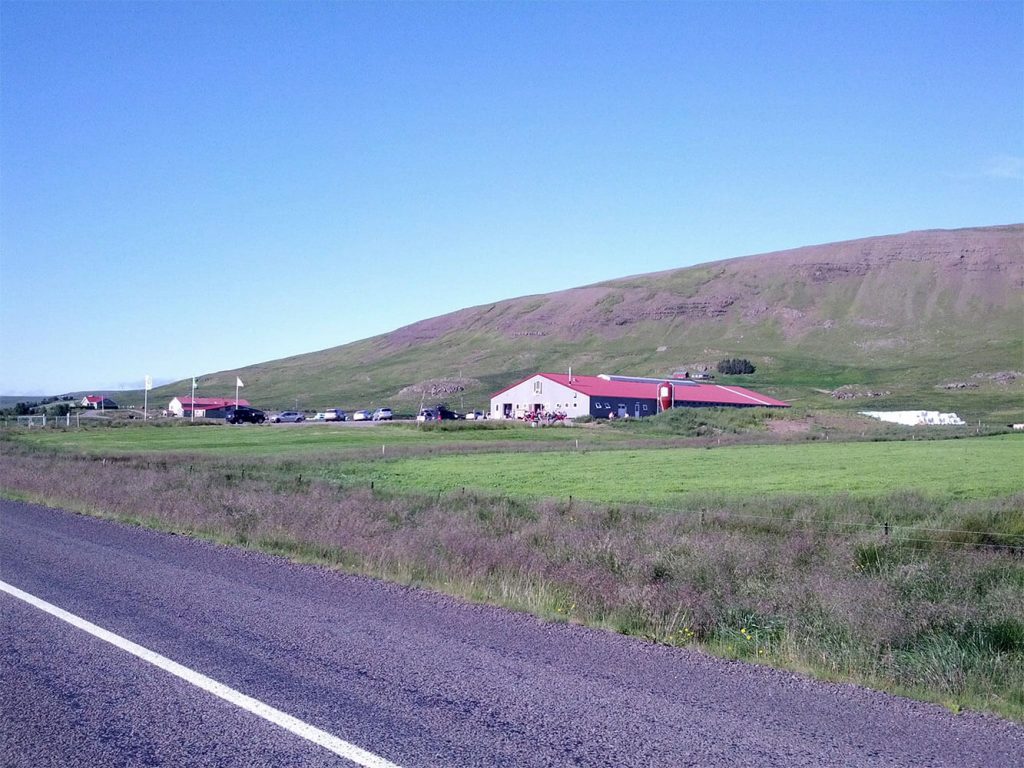 Rjómabúið Erpsstaðir