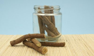 Lakkrísrót - Liquorice root