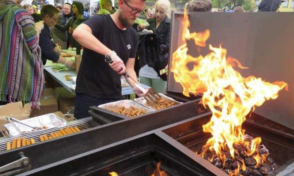 Vegan hátíðin í Hafnarfirði