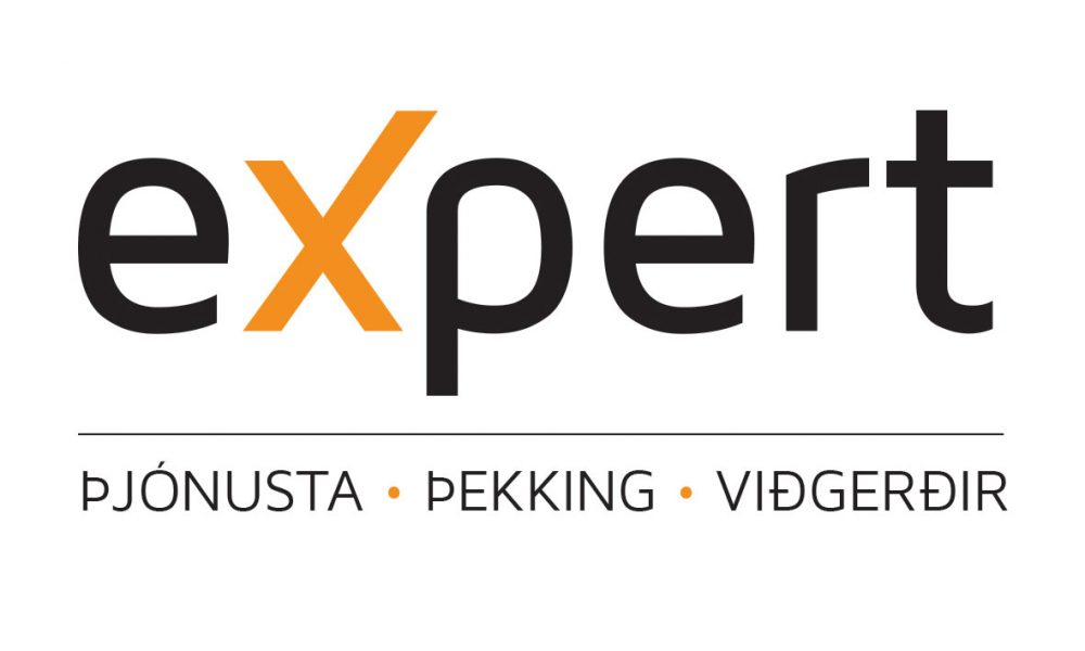 Expert - Logo