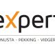 Expert - Logo