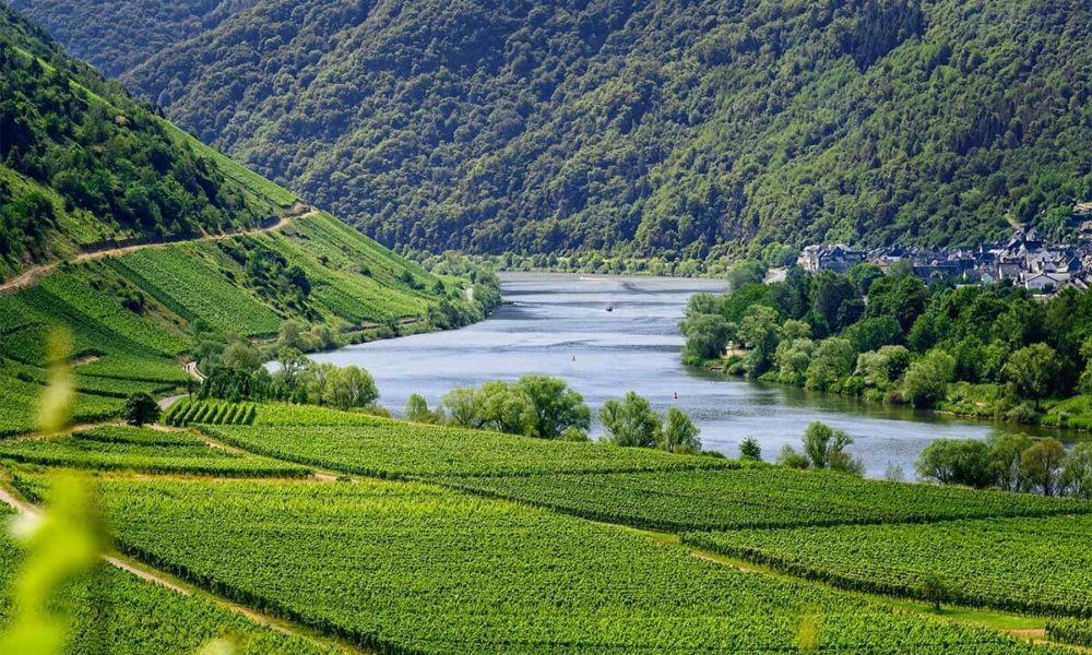 Vínhérað - Moselle river