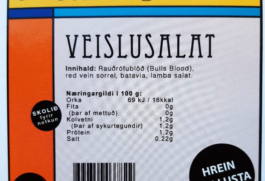 Hollt og gott veislusalat