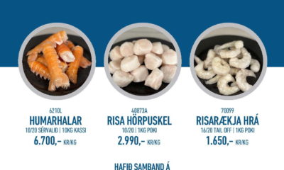 Valentínusartilboð Norðanfisks