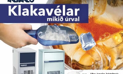 Kristaltærir ísmolar með mikinn þéttleika - Klakavélar