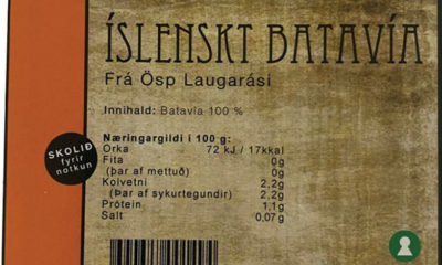 Innköllun á íslensku batavía salati - Ástæðan: fannst glerbrot í vörunni