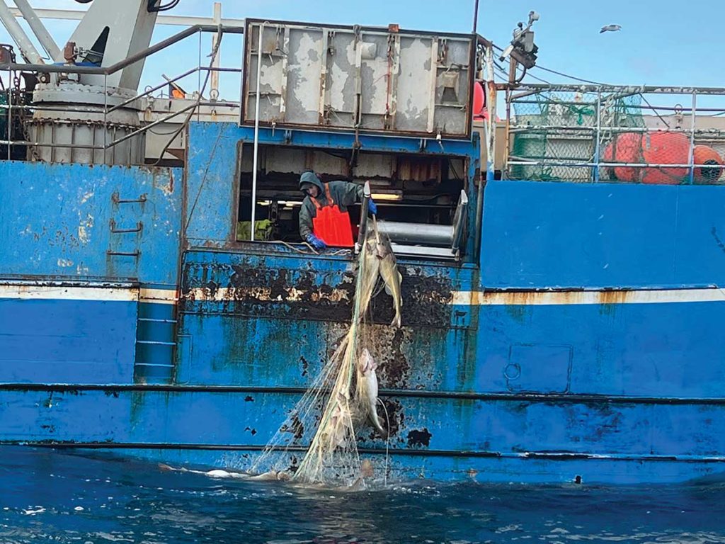 CNN í Portúgal - Einsi Kaldi - Vestmannaeyjar