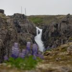 Austfirðir - Veislan