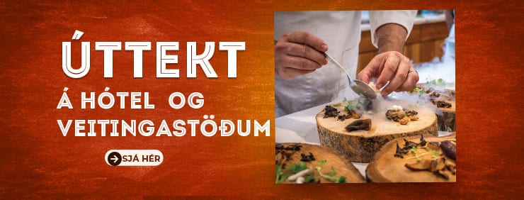 Úttekt á hótel- og veitingastöðum - Veisluþjónusta