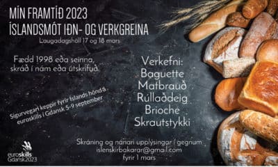 Bakarakeppni 2023