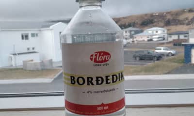 Borðedik