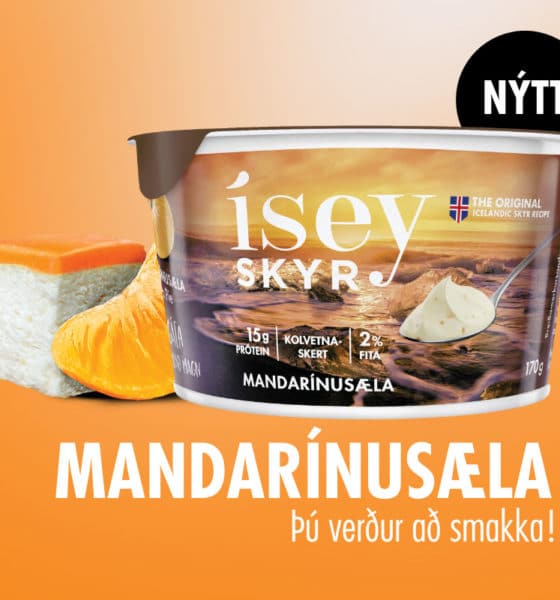 Mandarínusæla frá Ísey