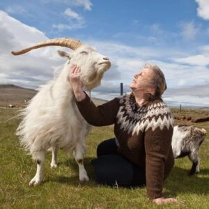 Matarmarkaður Íslands í Hörpu um helgina