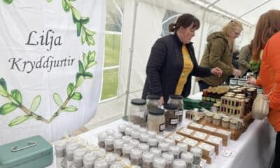 Beint frá býli - Myndaveisla: 4.500 manns heimsóttu hátíðina