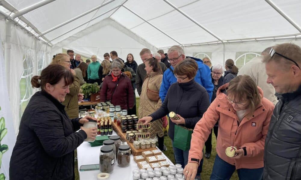 Beint frá býli - Myndaveisla: 4.500 manns heimsóttu hátíðina