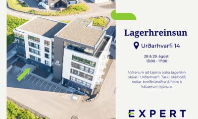 Lagerhreinsun - Expert