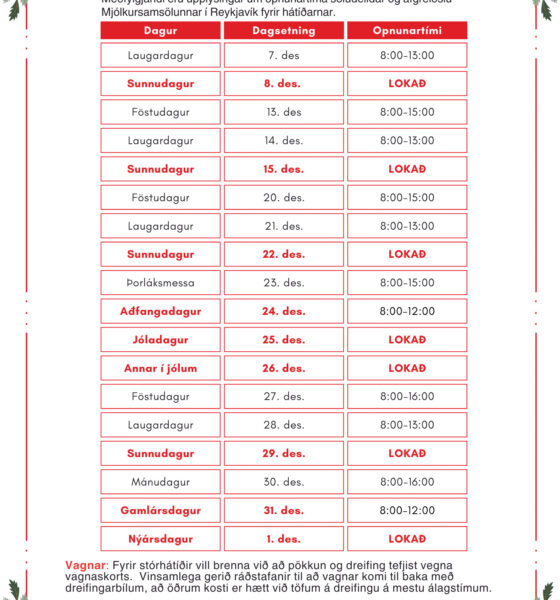 MS - Opnunartími jól 2024