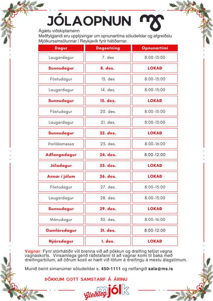 MS - Opnunartími jól 2024