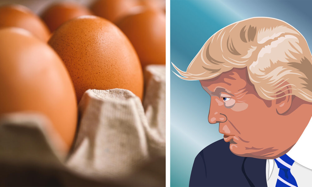 Eggjaverð í Bandaríkjunum í hæstu hæðum – stangast á við fullyrðingar Donald Trumps
