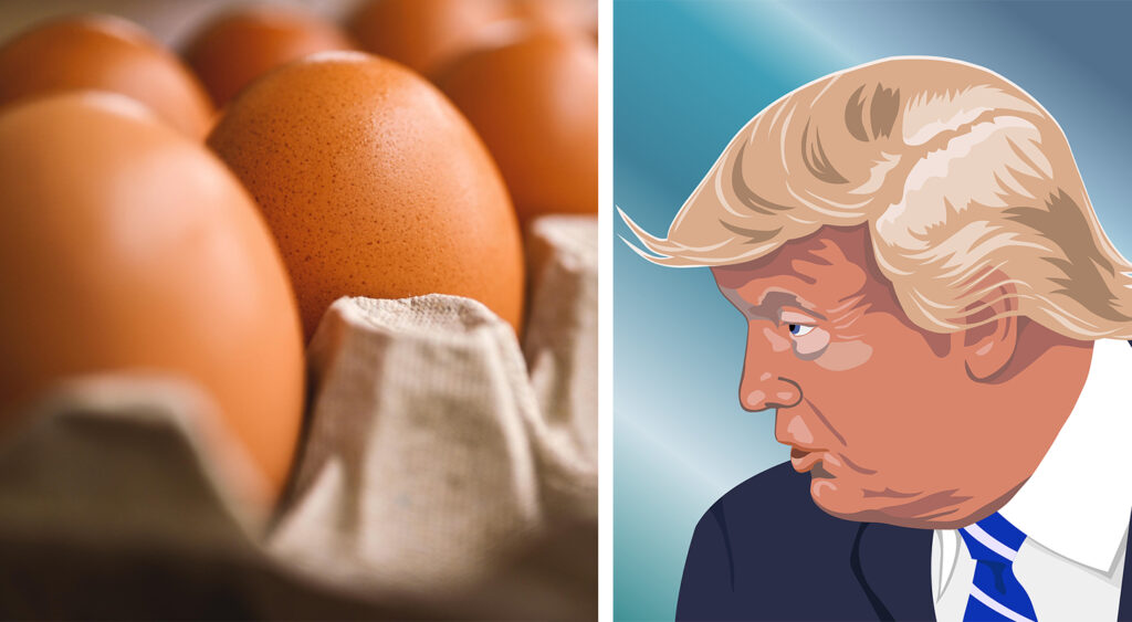 Eggjaverð í Bandaríkjunum í hæstu hæðum – stangast á við fullyrðingar Donald Trumps