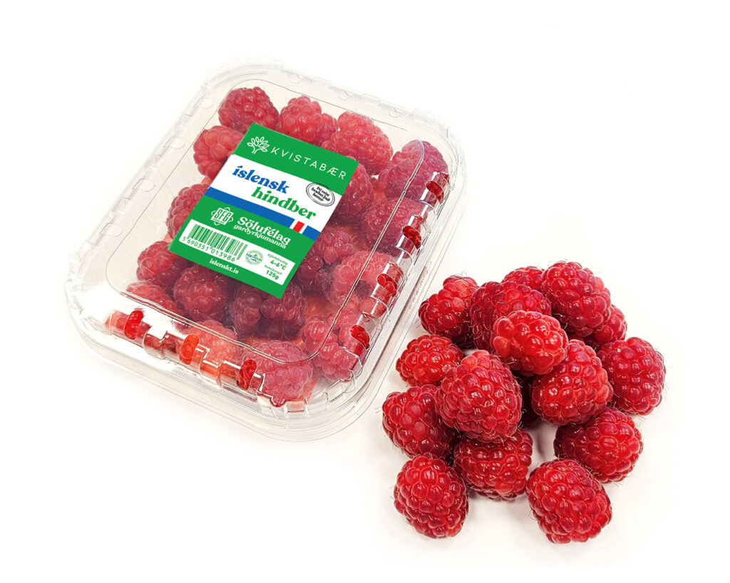 Íslensk hindber í blóma: Sölufélag garðyrkjumanna hvetur til stuðnings við innlenda ræktun