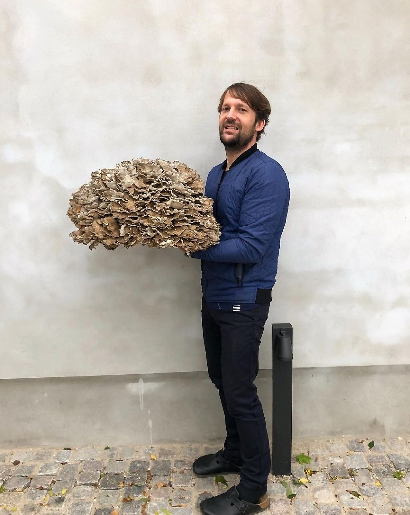 René Redzepi