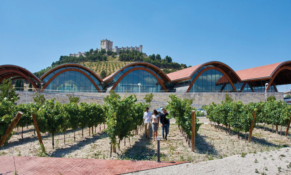 Castillo de Peñafiel, sögufrægi kastalinn í Valladolid-héraði gnæfir yfir Protos og vínekrur vínhússins.