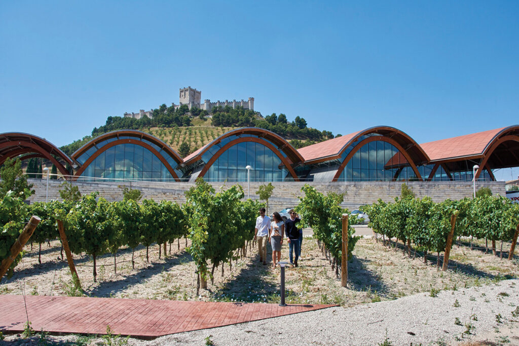 Castillo de Peñafiel, sögufrægi kastalinn í Valladolid-héraði gnæfir yfir Protos og vínekrur vínhússins.