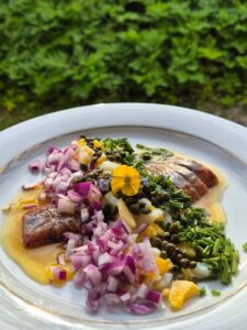 Síldarkaffi fagnar 1 árs afmæli í dag - Með síldina í aðalhlutverki