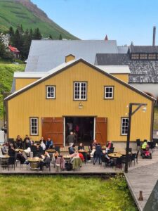 Síldarkaffi fagnar 1 árs afmæli í dag - Með síldina í aðalhlutverki