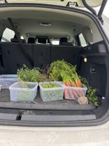 Myndaveisla frá samstarfi Gunnars Karls og Poul Andrias - Paz í Þórshöfn, Gunnar Karl Gíslason, Dill restaurant