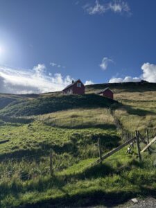 Myndaveisla frá samstarfi Gunnars Karls og Poul Andrias - Paz í Þórshöfn, Gunnar Karl Gíslason, Dill restaurant