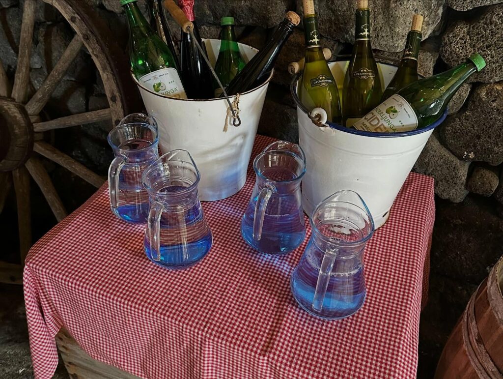 Ungir kokkar sýndu snilld sína með þara - Myndir