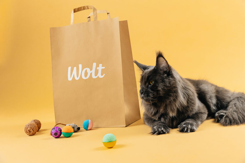 Ekki lengur bara fyrir fólk – Wolt sendir heim fyrir ketti (og hunda)
