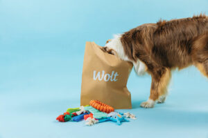 Ekki lengur bara fyrir fólk – Wolt sendir heim fyrir ketti (og hunda)