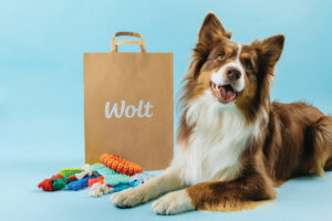 Ekki lengur bara fyrir fólk – Wolt sendir heim fyrir ketti (og hunda)