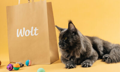 Ekki lengur bara fyrir fólk – Wolt sendir heim fyrir ketti (og hunda)