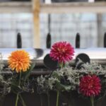 36 brugghús fylltu Hveragerði – myndir frá sjöttu bjórhátíð Ölverk