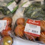 „Ómetanlegt að vita hvaðan maturinn kemur“ sagði Dóra. Um 100 manns á stefnumóti á Flúðum - Myndir