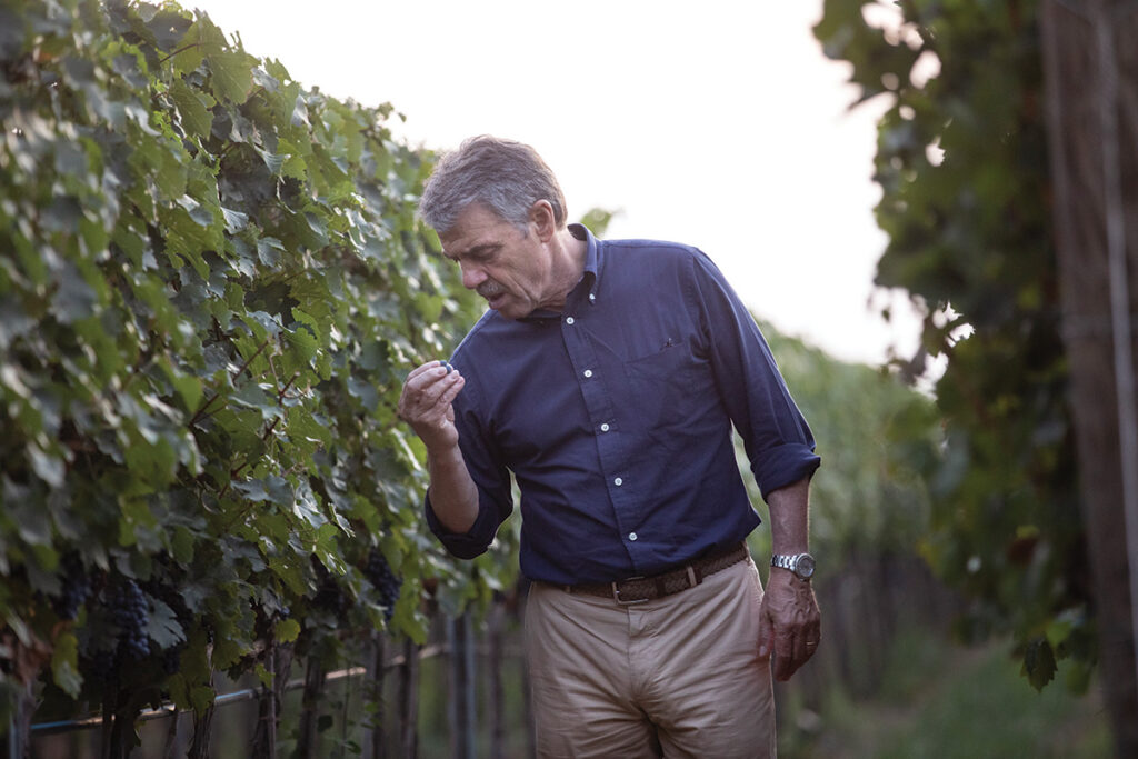 Renzo Cotarella hlýtur alþjóðlega viðurkenningu fyrir framúrskarandi víngerð