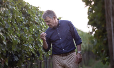 Renzo Cotarella hlýtur alþjóðlega viðurkenningu fyrir framúrskarandi víngerð