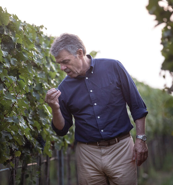 Renzo Cotarella hlýtur alþjóðlega viðurkenningu fyrir framúrskarandi víngerð