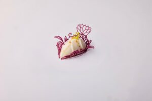 Snædís Xyza Mae Ocampo skrifar - Liðið, fjölskyldan og baráttan á leið til Lyon