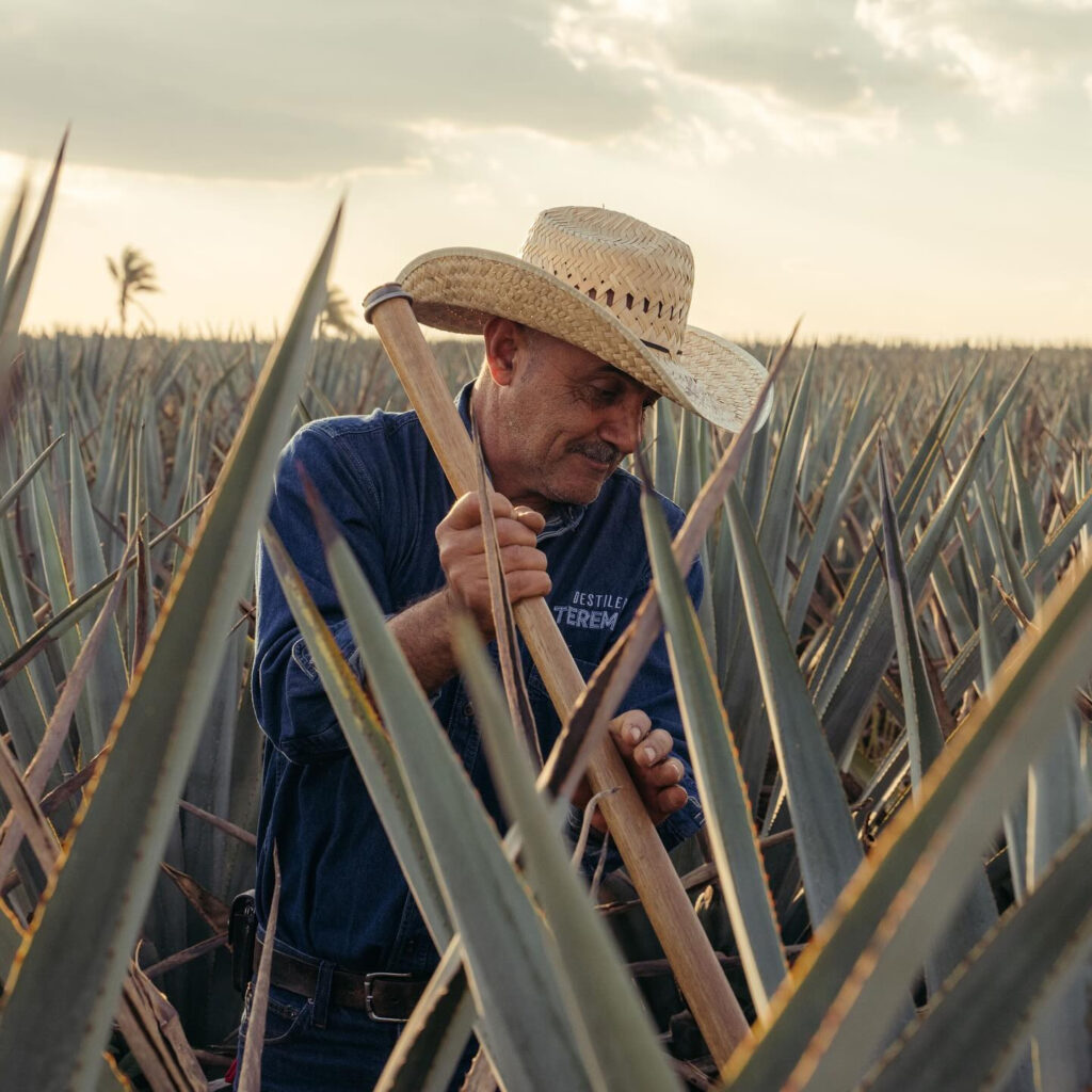 Dwayne Johnson setur aukinn kraft í útrás Teremana